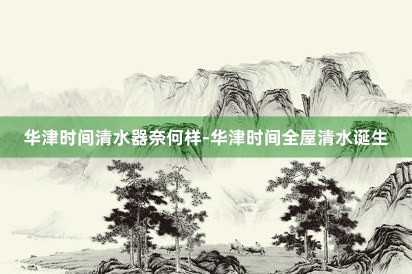 华津时间清水器奈何样-华津时间全屋清水诞生