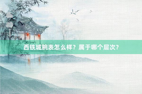 西铁城腕表怎么样？属于哪个层次？