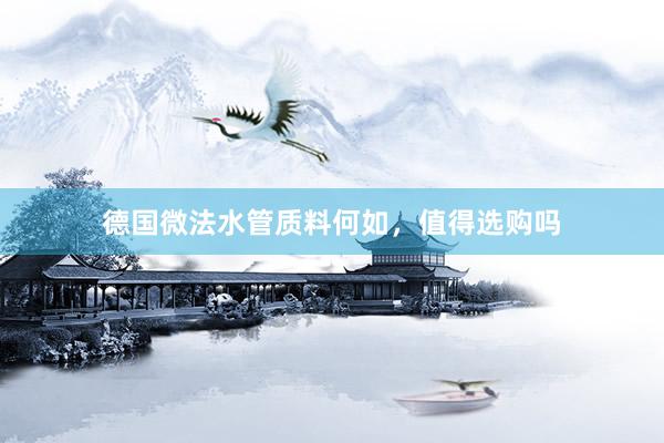 德国微法水管质料何如，值得选购吗